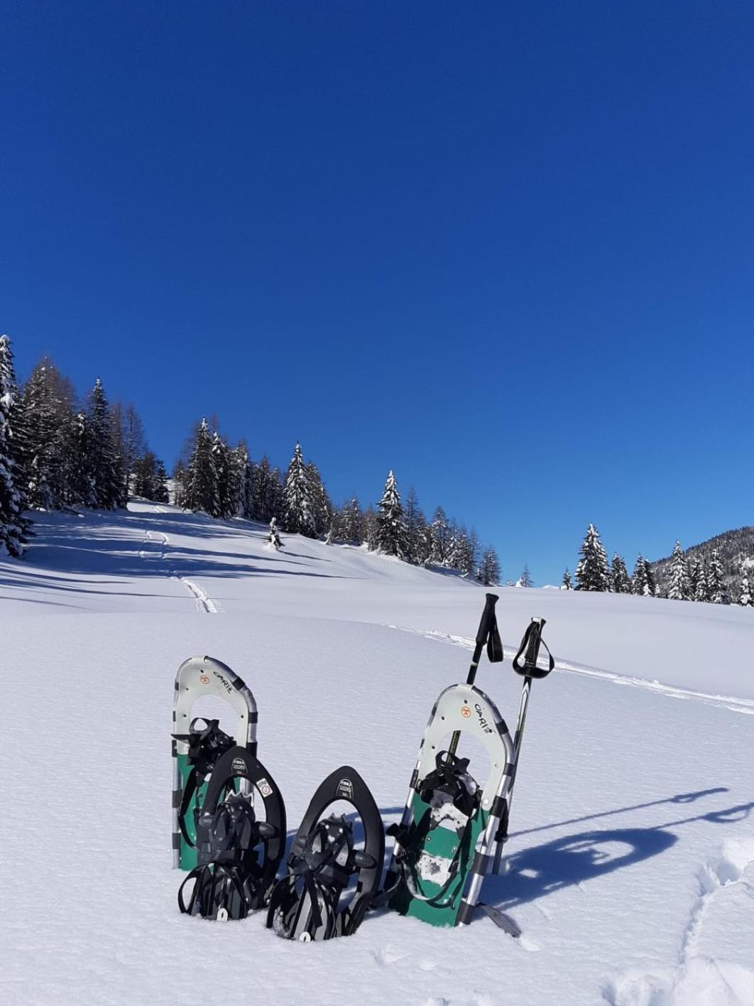 Appartamenti Al Ciarie Cima Gogna Exteriér fotografie